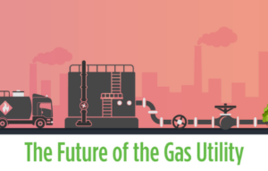 The future of the gas utility